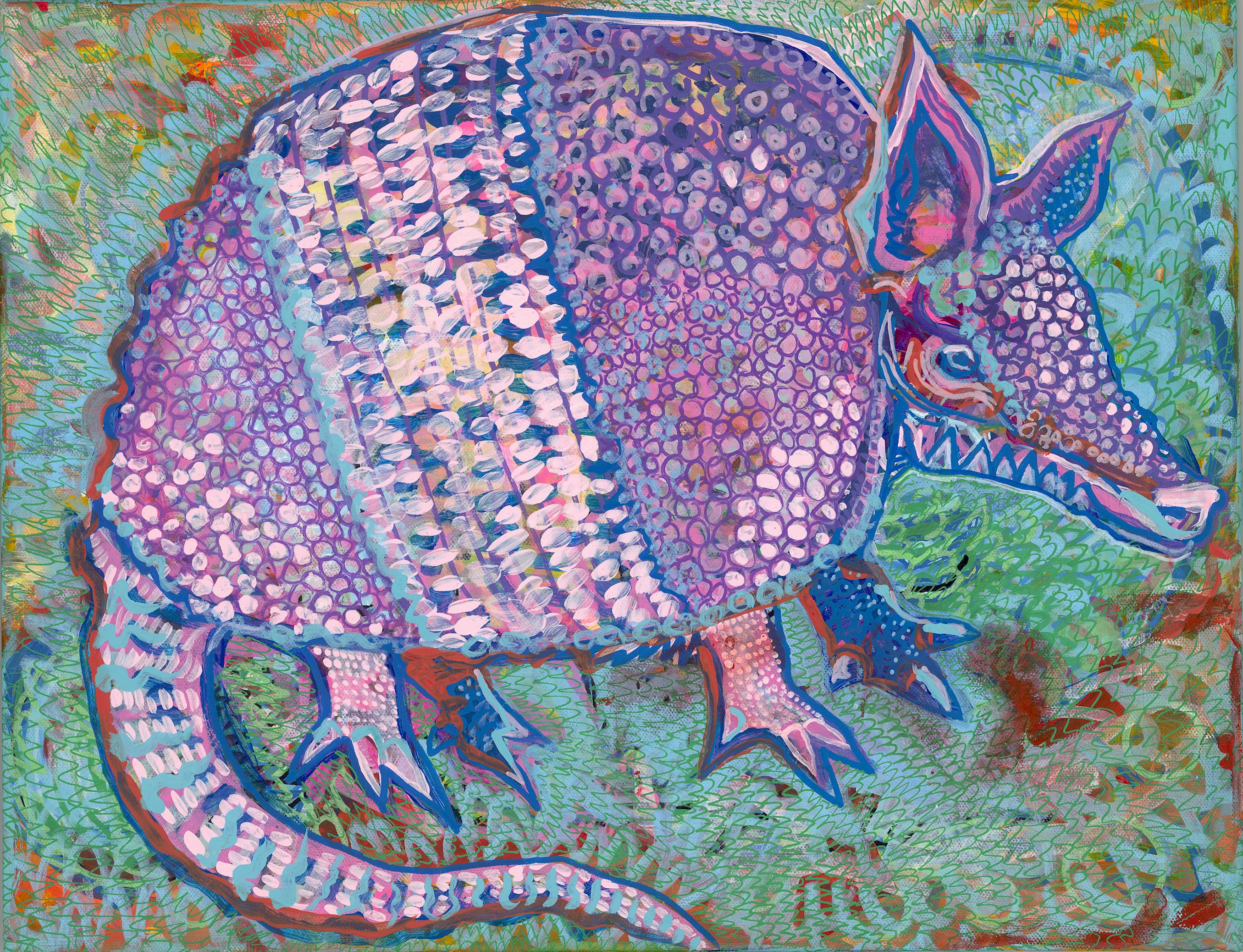 Discover The Hidden World Of Armadillo Sounds - d18m8z3