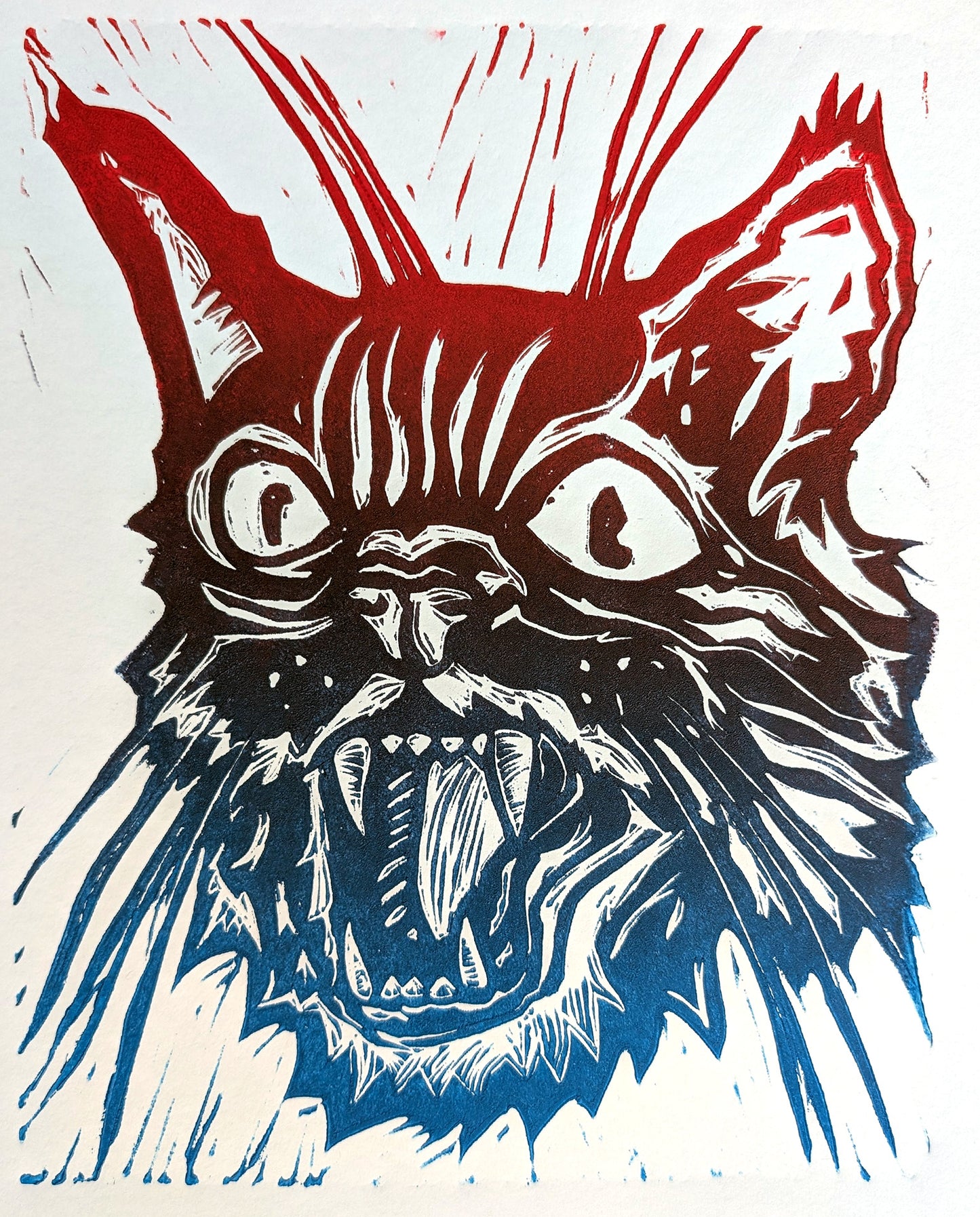 Kitty