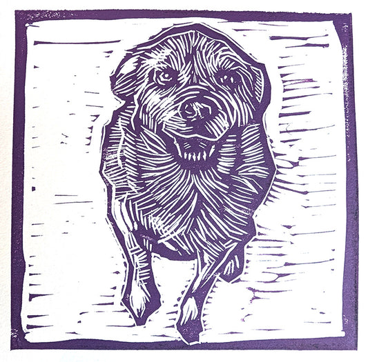 DOGGO