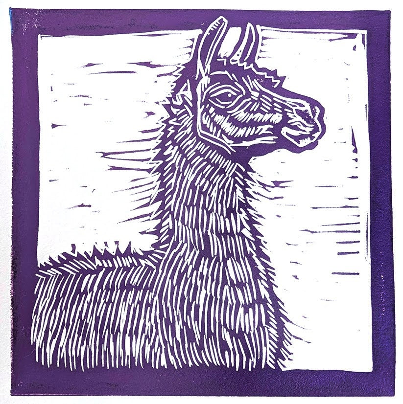 Llama Card