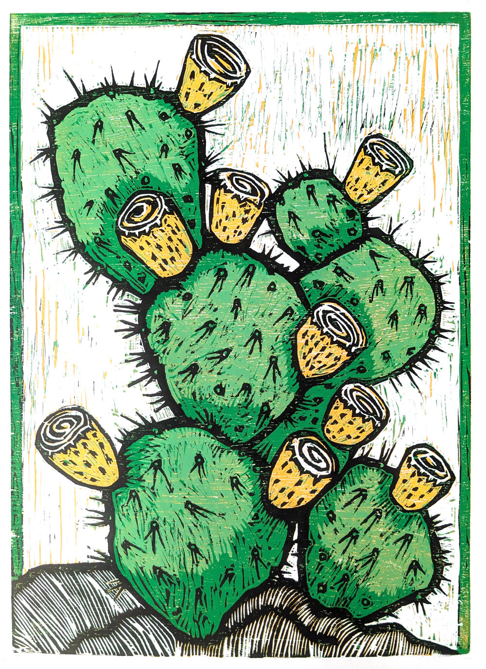 Budding Cactus