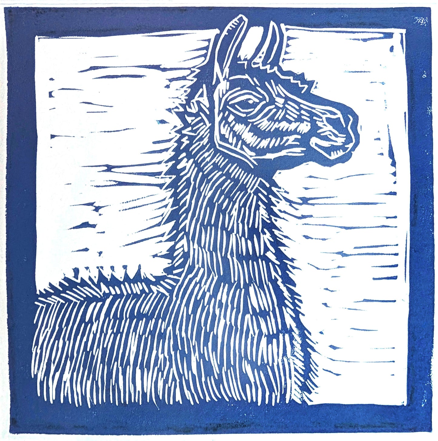 Llama Card