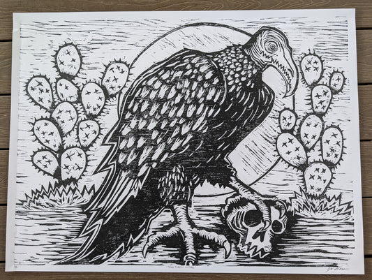Texas Turkey Vulture
